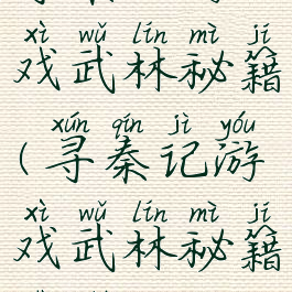 寻秦记游戏武林秘籍(寻秦记游戏武林秘籍是什么)