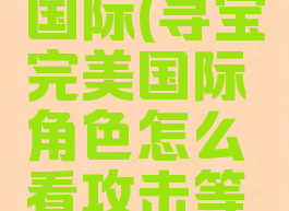寻宝完美国际(寻宝完美国际角色怎么看攻击等级)