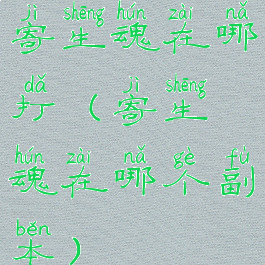 寄生魂在哪打(寄生魂在哪个副本)
