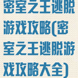 密室之王逃脱游戏攻略(密室之王逃脱游戏攻略大全)