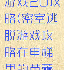 密室逃脱游戏20攻略(密室逃脱游戏攻略在电梯里的芭蕾舞者)