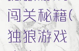 孤狼游戏闯关秘籍(独狼游戏攻略)