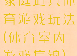 家庭道具体育游戏玩法(体育室内游戏集锦)