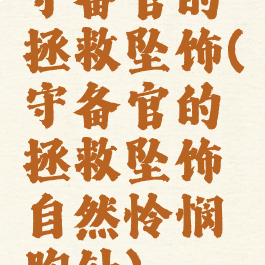 守备官的拯救坠饰(守备官的拯救坠饰自然怜悯胸针)
