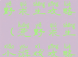 安卓游戏荒野求生攻略(荒野求生小游戏攻略)