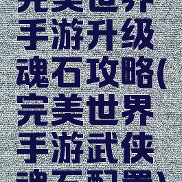 完美世界手游升级魂石攻略(完美世界手游武侠魂石配置)