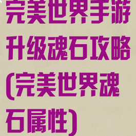 完美世界手游升级魂石攻略(完美世界魂石属性)