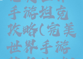完美世界手游坦克攻略(完美世界手游装备攻略)
