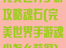完美世界手游攻略魂石(完美世界手游魂尘怎么获得)