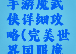 完美世界手游魔武侠详细攻略(完美世界国服魔武侠)