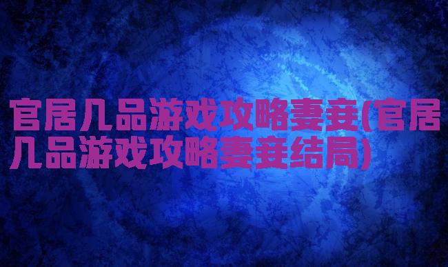 官居几品游戏攻略妻妾(官居几品游戏攻略妻妾结局)
