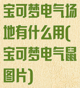 宝可梦电气场地有什么用(宝可梦电气鼠图片)