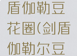 宝可梦剑盾伽勒豆蔻花圈(剑盾伽勒尔豆蔻花环)