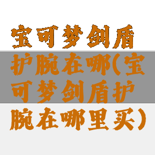 宝可梦剑盾护腕在哪(宝可梦剑盾护腕在哪里买)