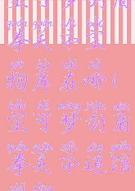 宝可梦剑盾拳关市宝物库在哪(宝可梦剑盾拳关市道馆属性)