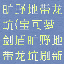 宝可梦剑盾旷野地带龙坑(宝可梦剑盾旷野地带龙坑刷新)
