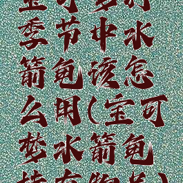 宝可梦打季节中水箭龟该怎么用(宝可梦水箭龟持有物品)
