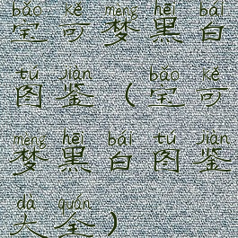 宝可梦黑白图鉴(宝可梦黑白图鉴大全)
