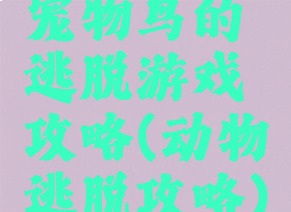 宠物鸟的逃脱游戏攻略(动物逃脱攻略)