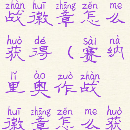 塞纳里奥作战徽章怎么获得(赛纳里奥作战徽章怎么获得)