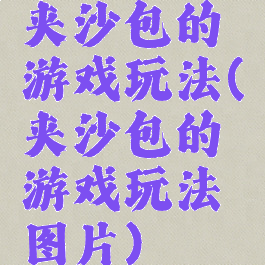 夹沙包的游戏玩法(夹沙包的游戏玩法图片)