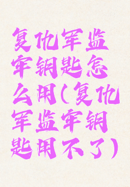 复仇军监牢钥匙怎么用(复仇军监牢钥匙用不了)