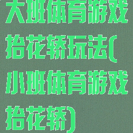 大班体育游戏抬花轿玩法(小班体育游戏抬花轿)