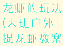 大班游戏捉龙虾的玩法(大班户外捉龙虾教案)