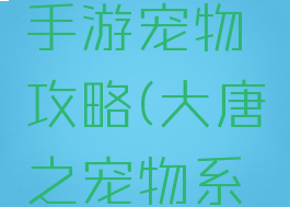 大唐荣耀手游宠物攻略(大唐之宠物系统)