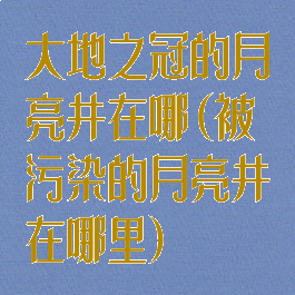 大地之冠的月亮井在哪(被污染的月亮井在哪里)