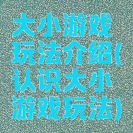 大小游戏玩法介绍(认识大小游戏玩法)