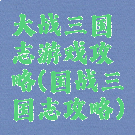 大战三国志游戏攻略(国战三国志攻略)