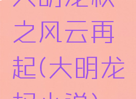 大明龙权之风云再起(大明龙权小说)