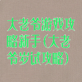大老爷游戏攻略新手(大老爷岁试攻略)