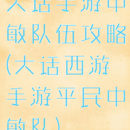 大话手游中敏队伍攻略(大话西游手游平民中敏队)