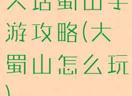 大话蜀山手游攻略(大蜀山怎么玩)