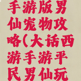 大话西游手游版男仙宠物攻略(大话西游手游平民男仙玩法攻略)