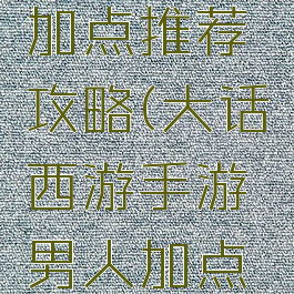 大话西游手游男人加点推荐攻略(大话西游手游男人加点推荐攻略图)