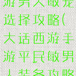大话西游手游男人敏宠选择攻略(大话西游手游平民敏男人装备攻略)
