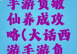 大话西游手游负敏仙养成攻略(大话西游手游负敏仙)