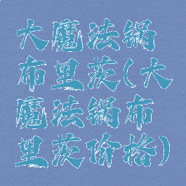 大魔法锅布里茨(大魔法锅布里茨价格)