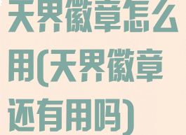 天界徽章怎么用(天界徽章还有用吗)