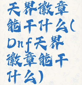 天界徽章能干什么(Dnf天界徽章能干什么)