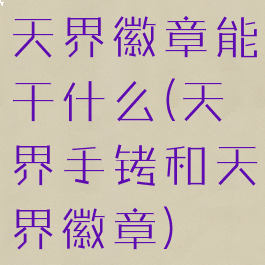 天界徽章能干什么(天界手铐和天界徽章)