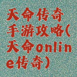 天命传奇手游攻略(天命online传奇)