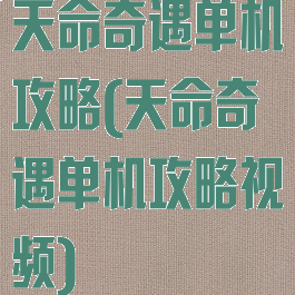 天命奇遇单机攻略(天命奇遇单机攻略视频)