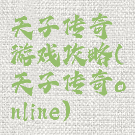 天子传奇游戏攻略(天子传奇online)