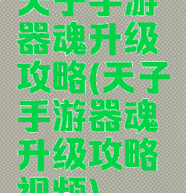天子手游器魂升级攻略(天子手游器魂升级攻略视频)