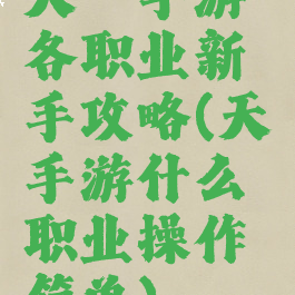 天谕手游各职业新手攻略(天谕手游什么职业操作简单)