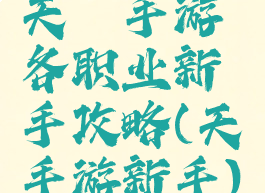 天谕手游各职业新手攻略(天谕手游新手)